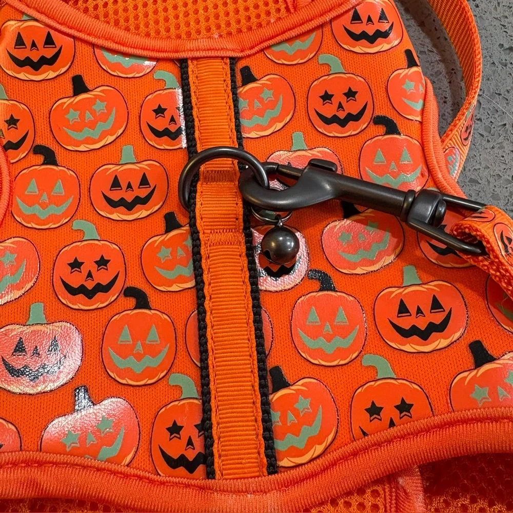 Orange pumpkin Cat Harness with Leash